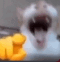 Screenshot 2025-09-25 175948.png